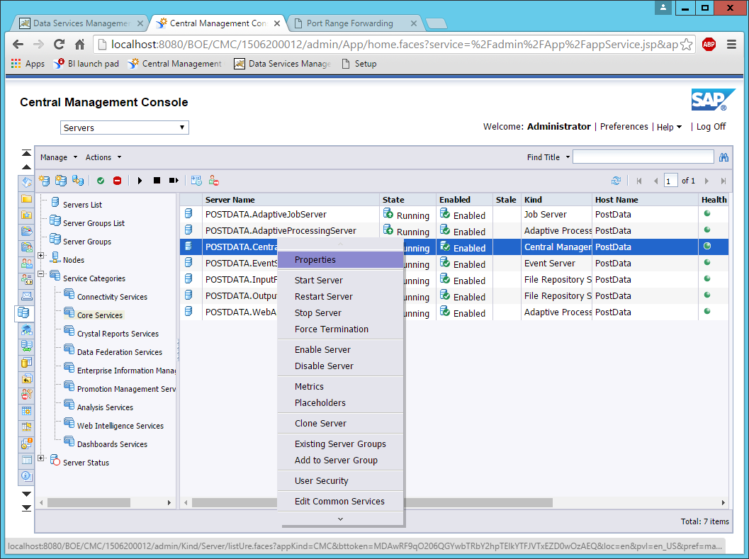 SAP BusinessObjects Data Services in action
