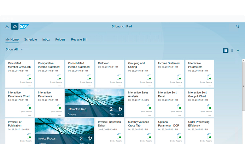 Picture of SAP Crystal Server tools.