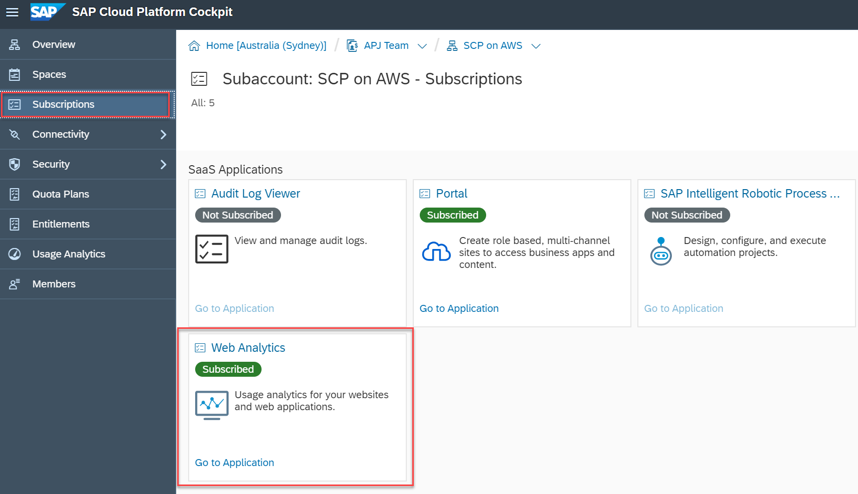 Screen shot of SAP Web Analytics software.
