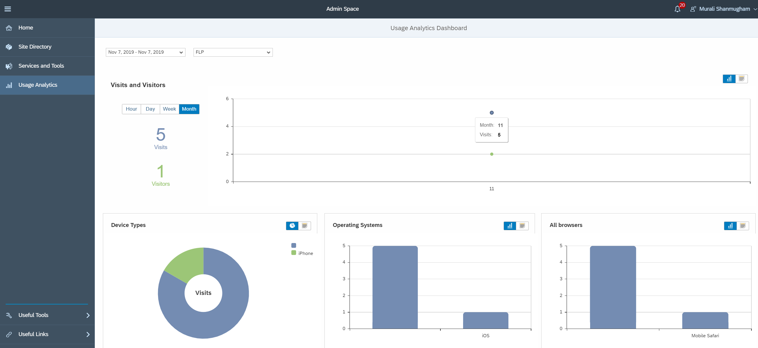 Picture of SAP Web Analytics tools.