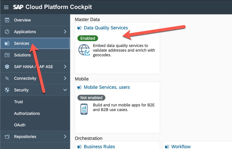 Picture of DQM Microservices tools.