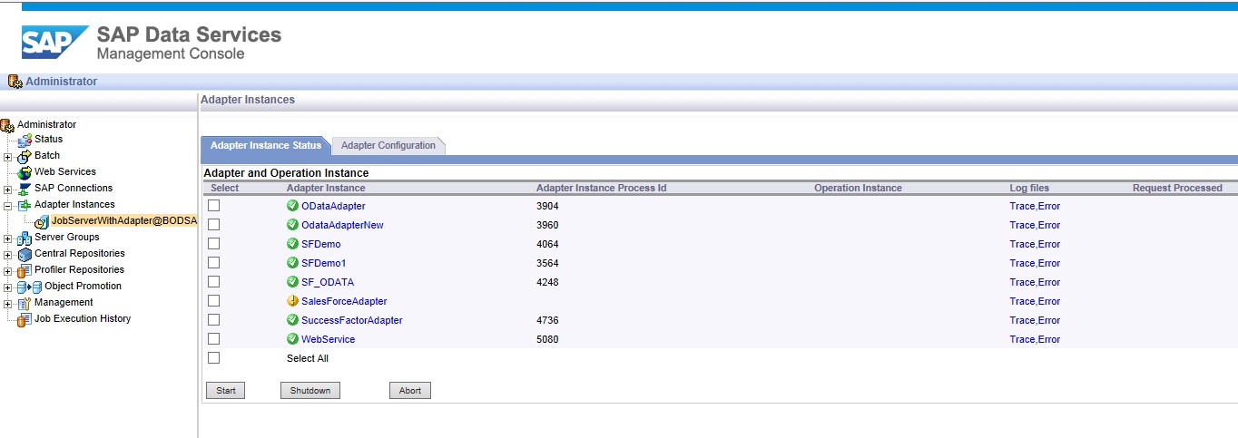 Picture of SAP Data Services tools.