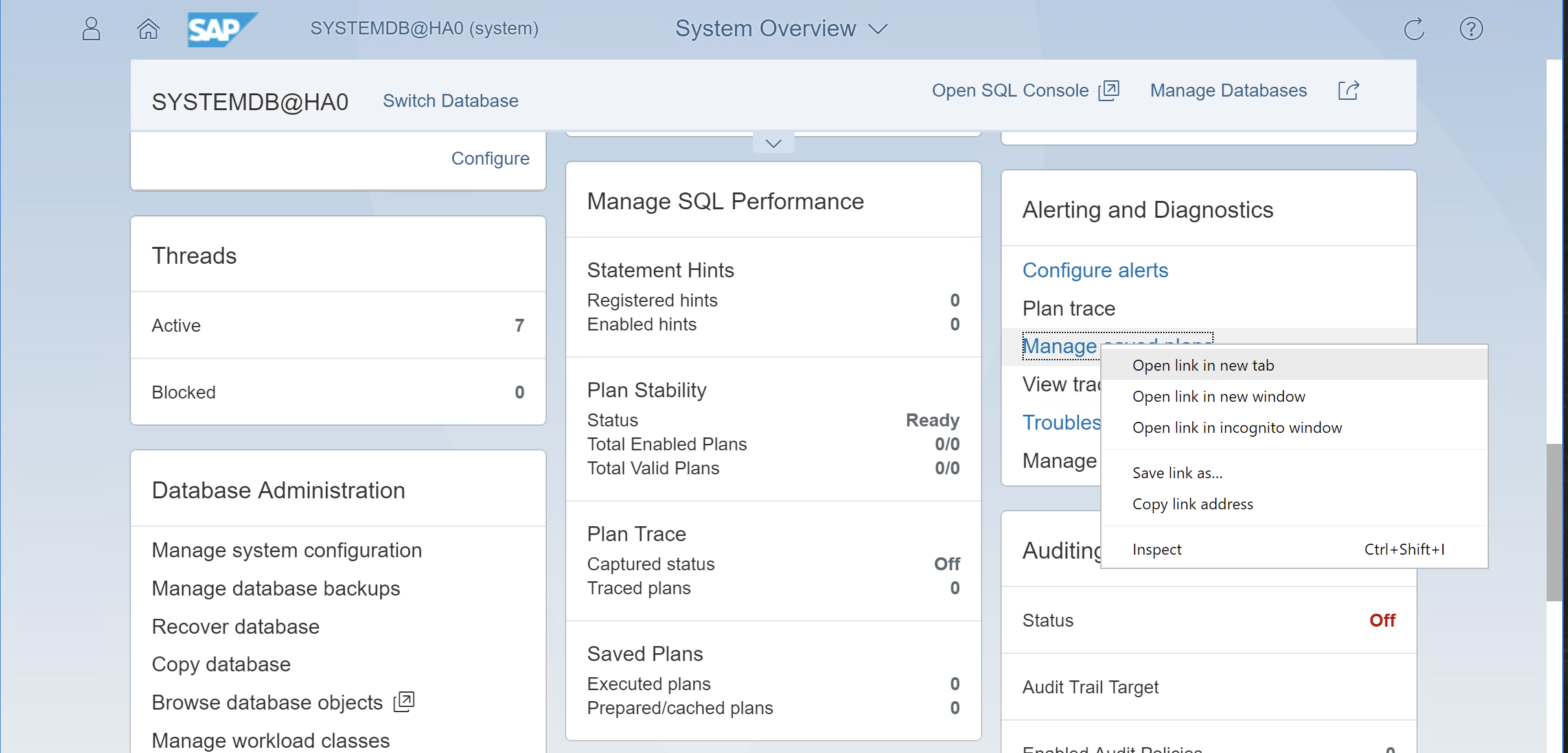 SAP HANA