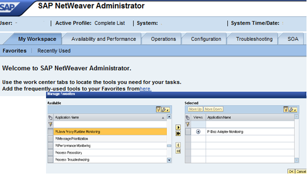 Picture of SAP Netweaver Pi tools.