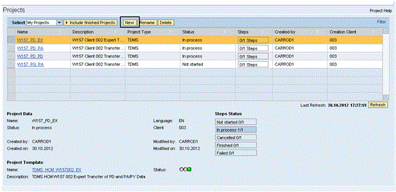 Screen shot of SAP TDMS software.