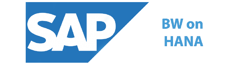 SAP HANA and SAP BW SAP HANA and SAP BW