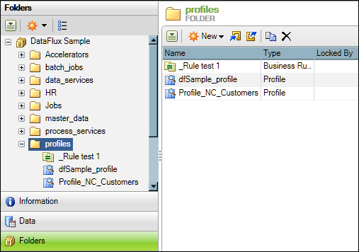 Screen shot of Dataflux Data Management Server software.
