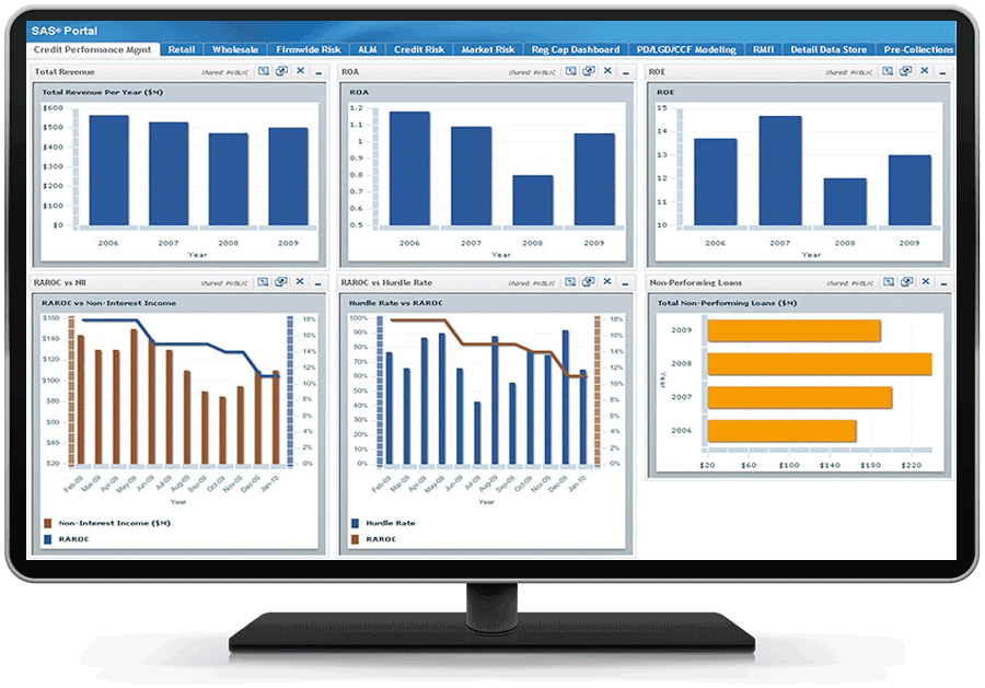 Screen shot of SAS Banking Analytics software.
