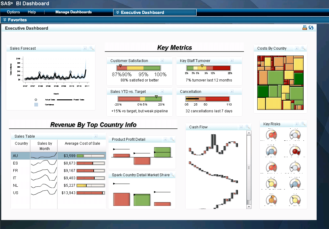 Screen shot of SAS Enterprise BI software.