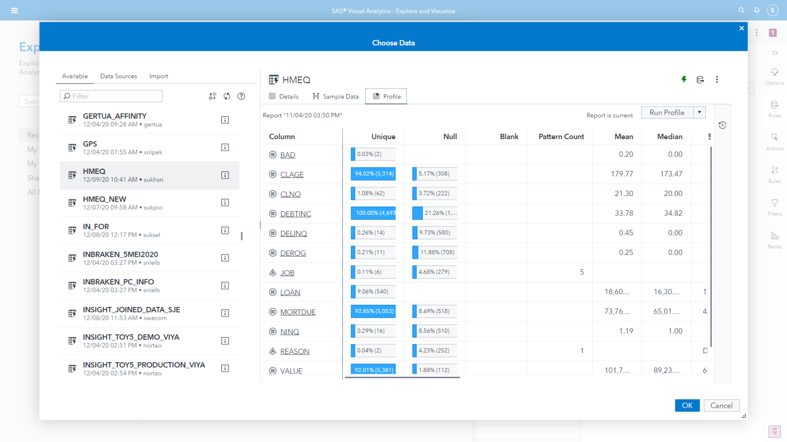 Screen shot of SAS Data Explorer software.