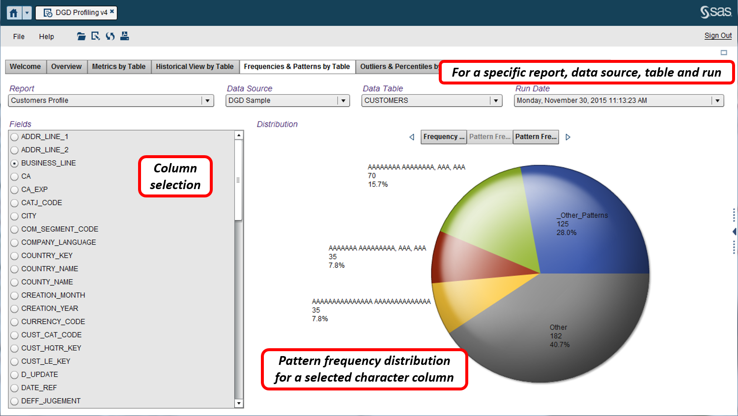 Picture of SAS Data Governance tools.