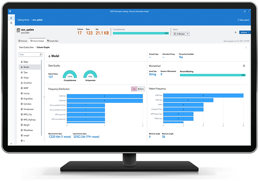 SAS Data Governance in action