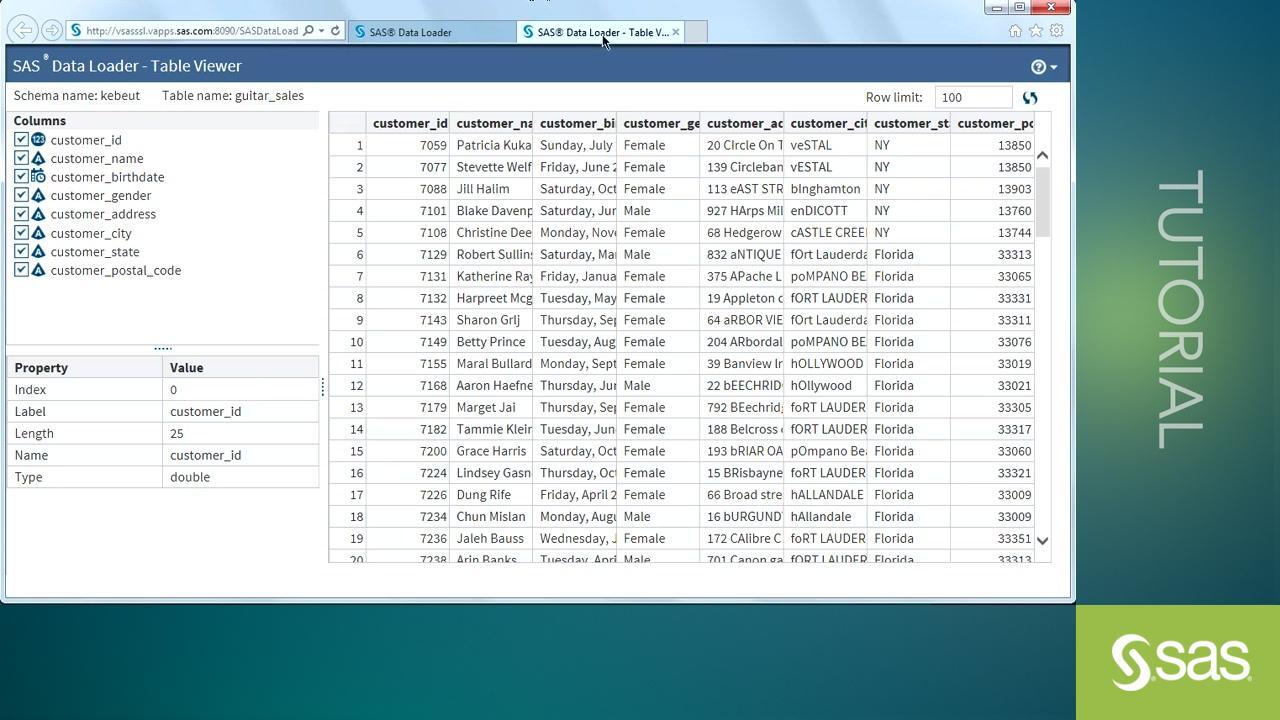 Picture of SAS Data Loader tools.