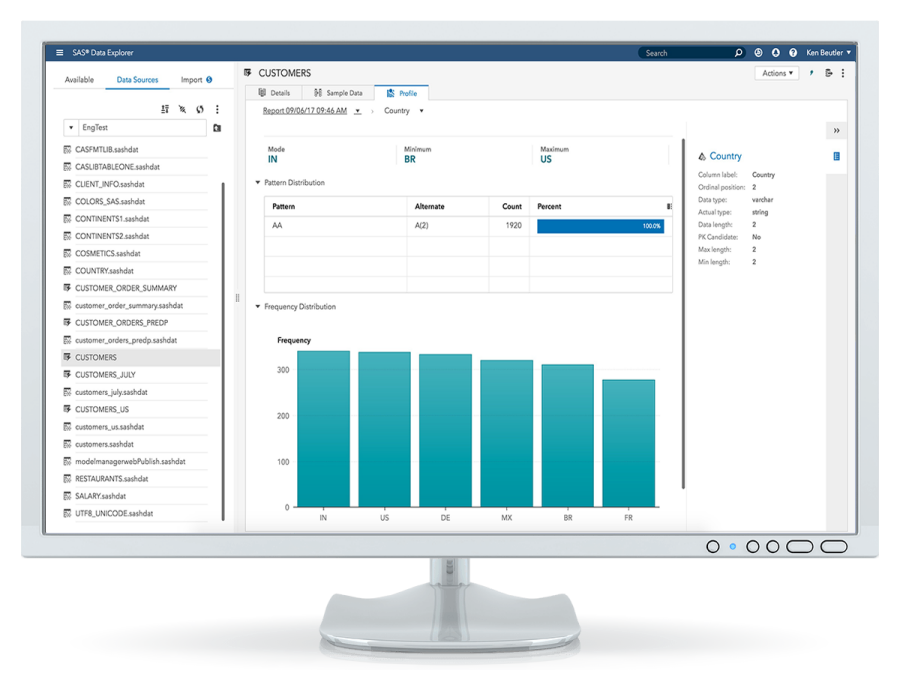 Screen shot of SAS Data Preparation software.