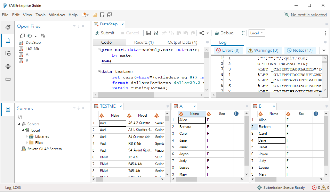 Screen shot of SAS Enterprise Guide software.
