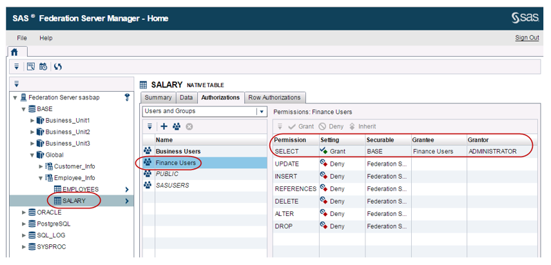 Screen shot of SAS Federation Server software.