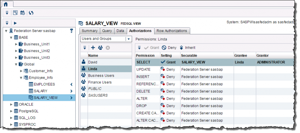 Picture of SAS Federation Server tools.