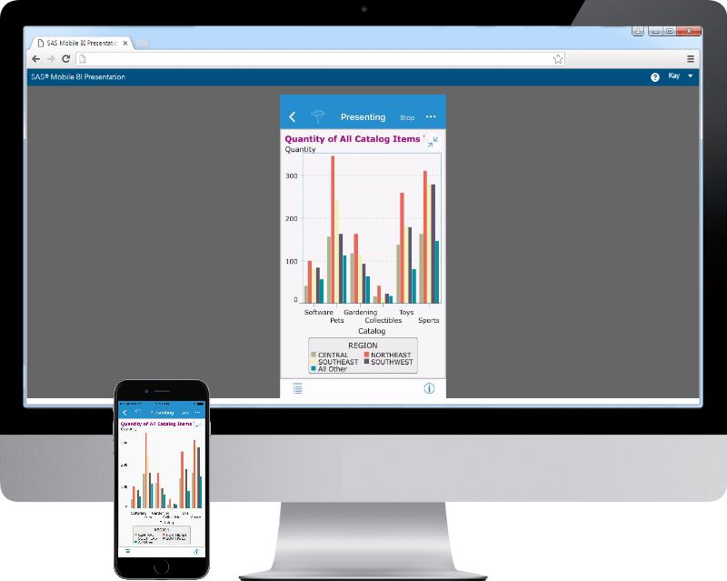 Screen shot of SAS Mobile BI software.
