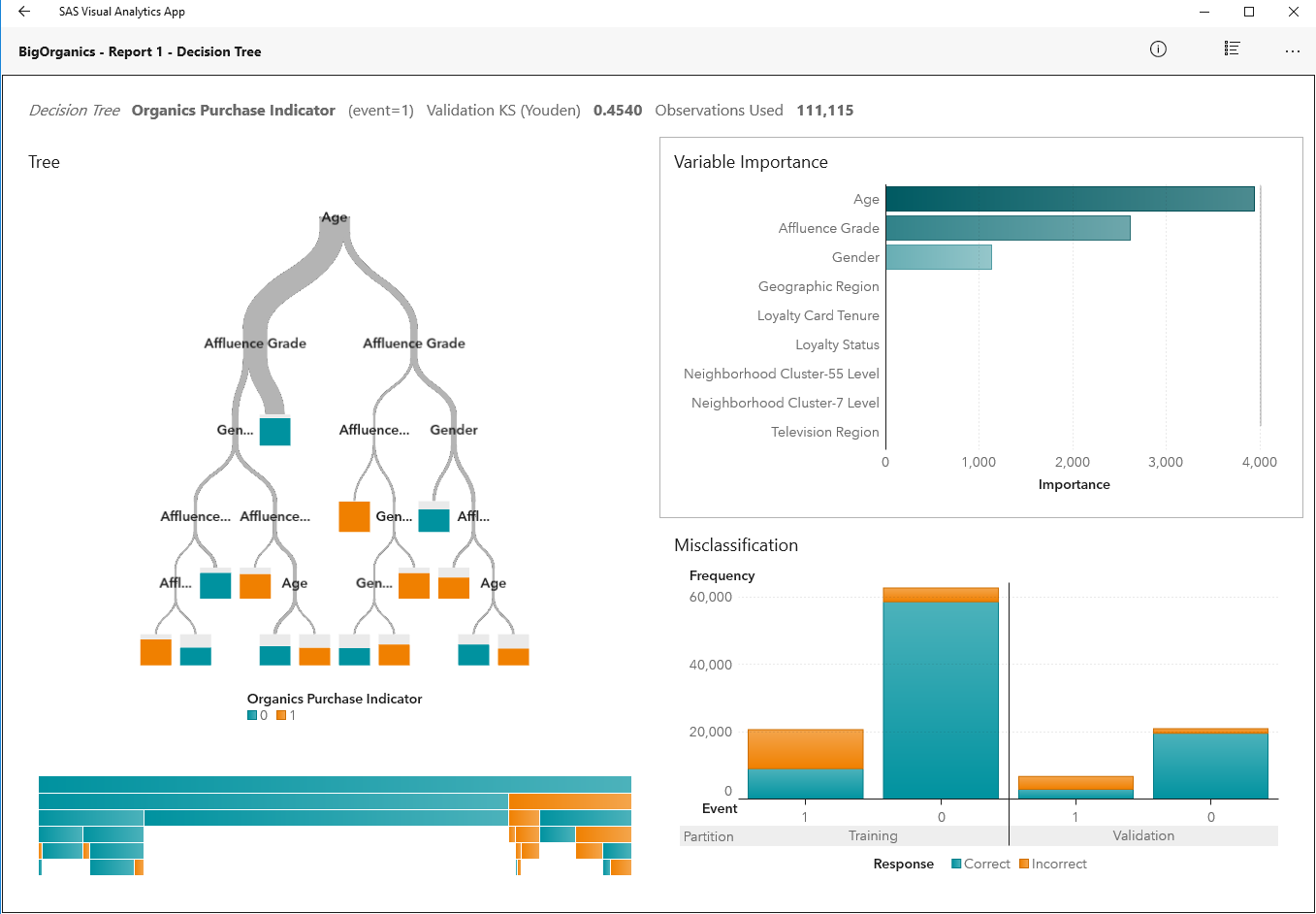 SAS Visual Analytics in action