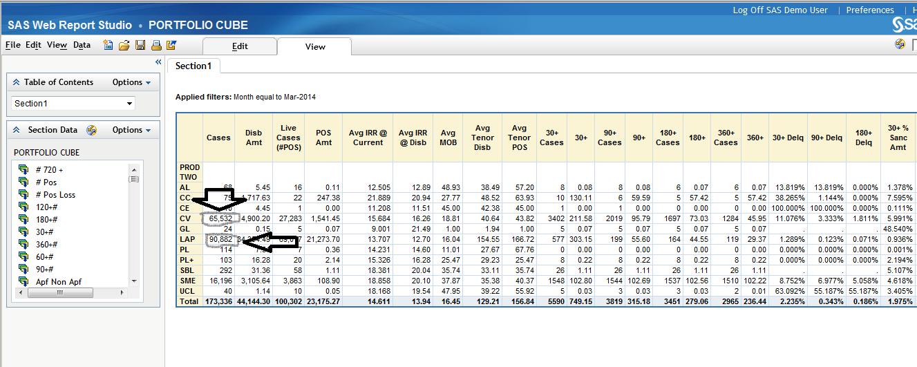 Screen shot of SAS Web Report Studio software.