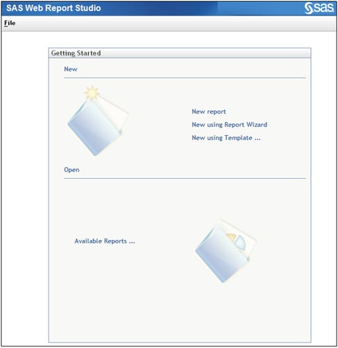 Picture of SAS Web Report Studio tools.