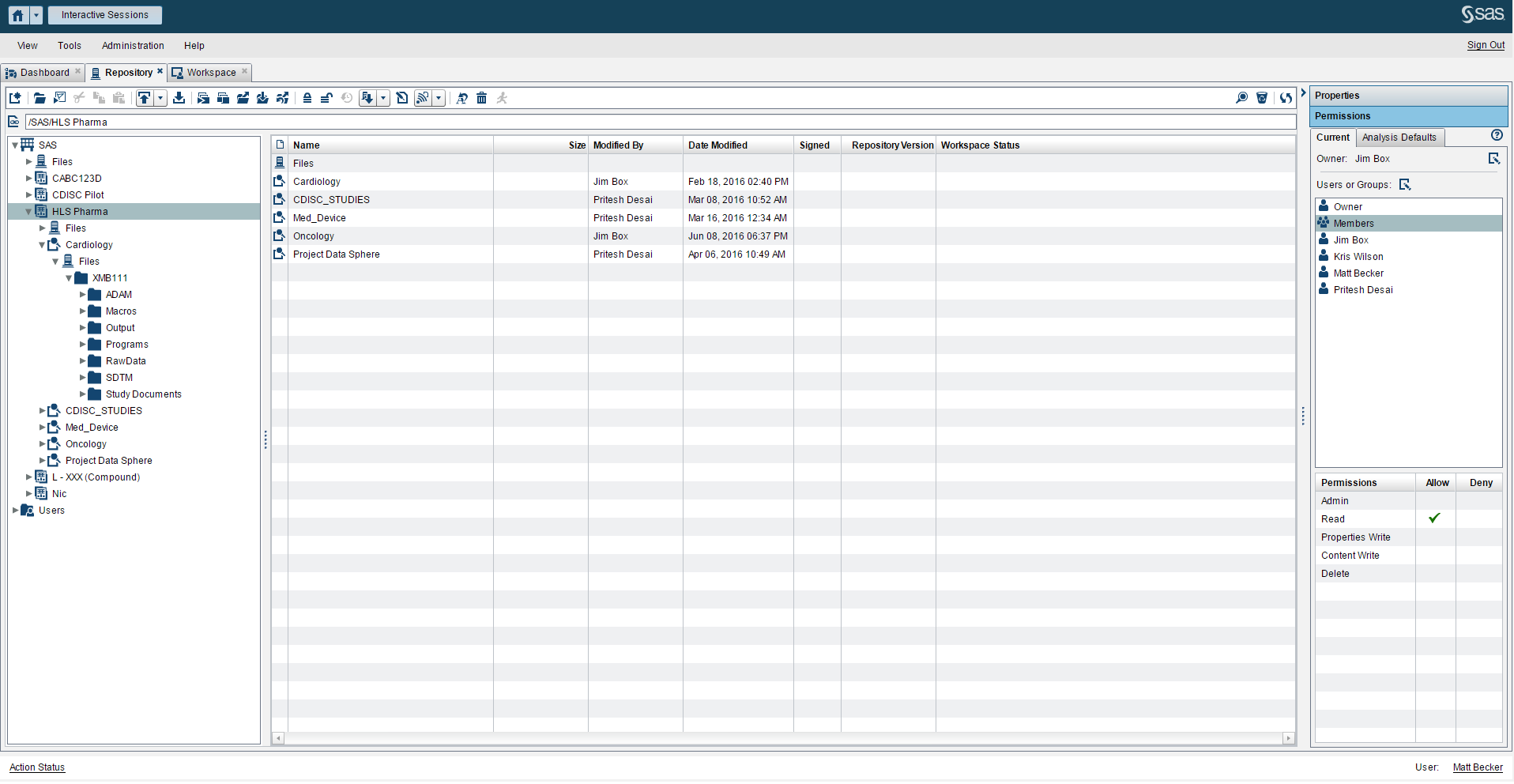 SAS Clinical Data Integration in action