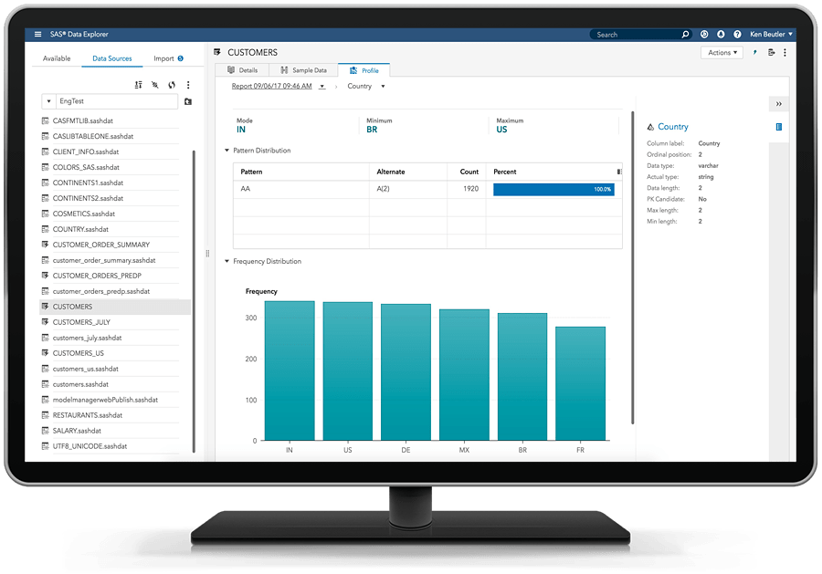 Picture of SAS Data Quality Accelerator tools.