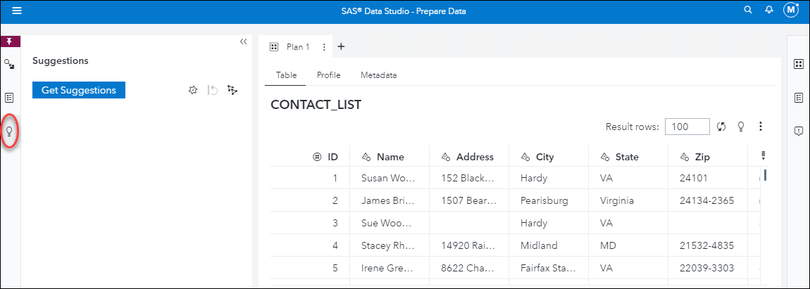 Screen shot of SAS Data Studio software.