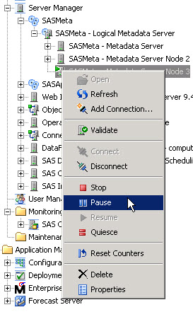 Picture of SAS Metadata Server tools.
