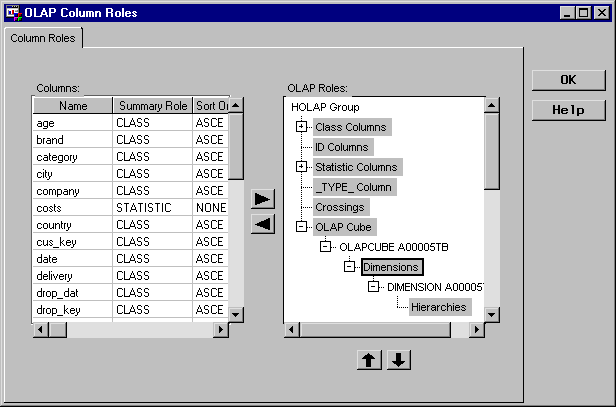 Picture of SAS OLAP Server tools.