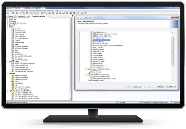 Screen shot of SAS/ACCESS software.