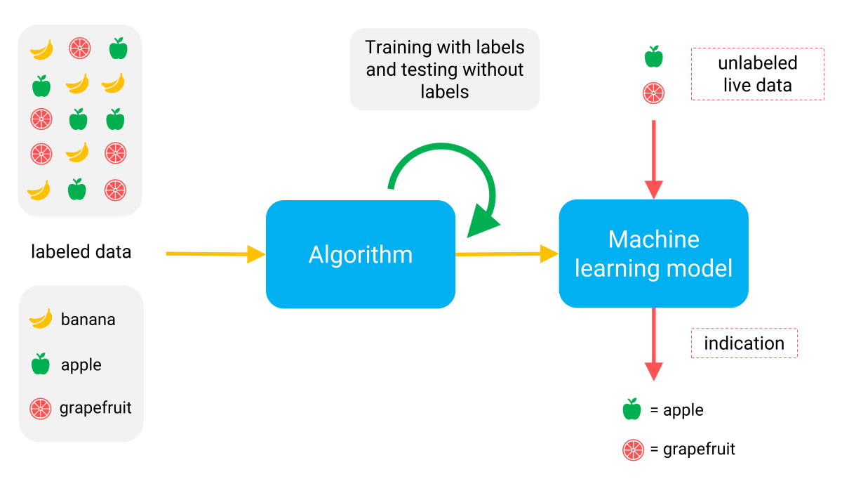 Supervised learning