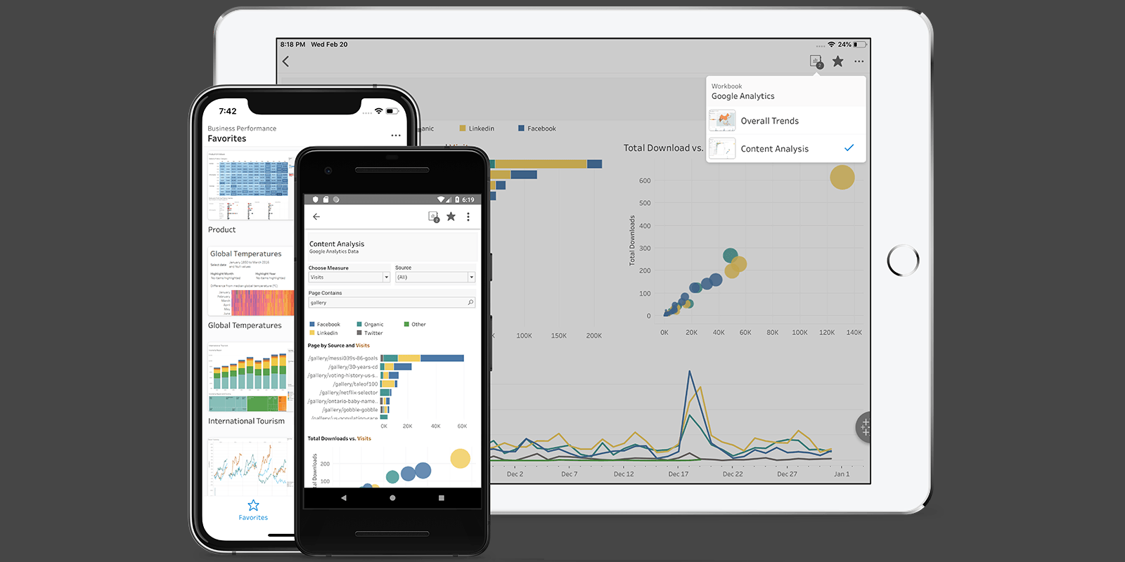 Screen shot of Tableau Mobile software.
